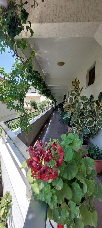 דורס Villa Madani מראה חיצוני תמונה