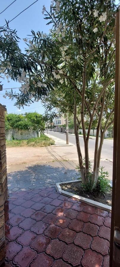 דורס Villa Madani מראה חיצוני תמונה